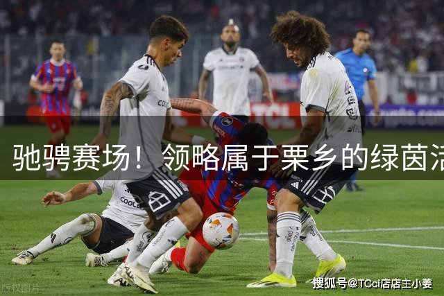 驰骋赛场！领略属于栗乡的绿茵活力